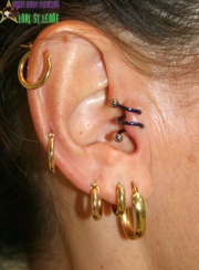 Tragus spiral (helix and lobe piercings not done by Lori St.Leone)